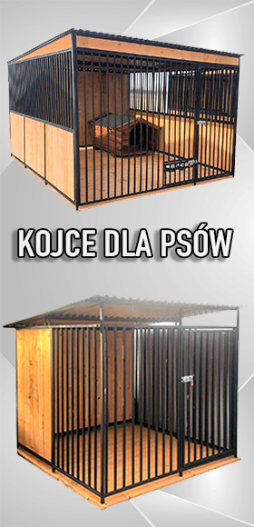 Darmowa dostawa